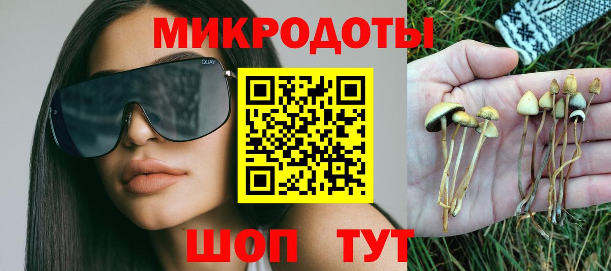 Псилоцибиновые грибы мицелий  Вход с VPN  Камышлов  Псилоцибиновые грибы Psilocybe 